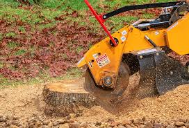 Best Arborist Consultation Services  in Ames Lake, WA
