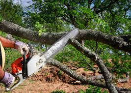 Best Lawn Grading and Leveling  in Ames Lake, WA