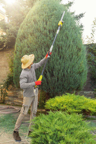 Seasonal Cleanup (Spring/Fall) in Ames Lake, WA